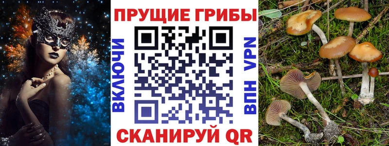 даркнет сайт  Туймазы  Галлюциногенные грибы ЛСД 