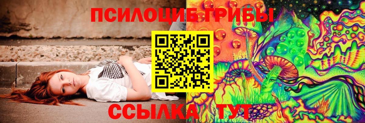Туймазы  Галлюциногенные грибы прущие грибы  Вход с VPN 